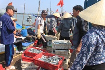 Lệnh cấm đánh bắt của Trung Quốc không có giá trị trong vùng biển chủ quyền Việt Nam