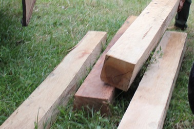 60 súc gỗ hộp “vô chủ” được giấu trong lùm cây