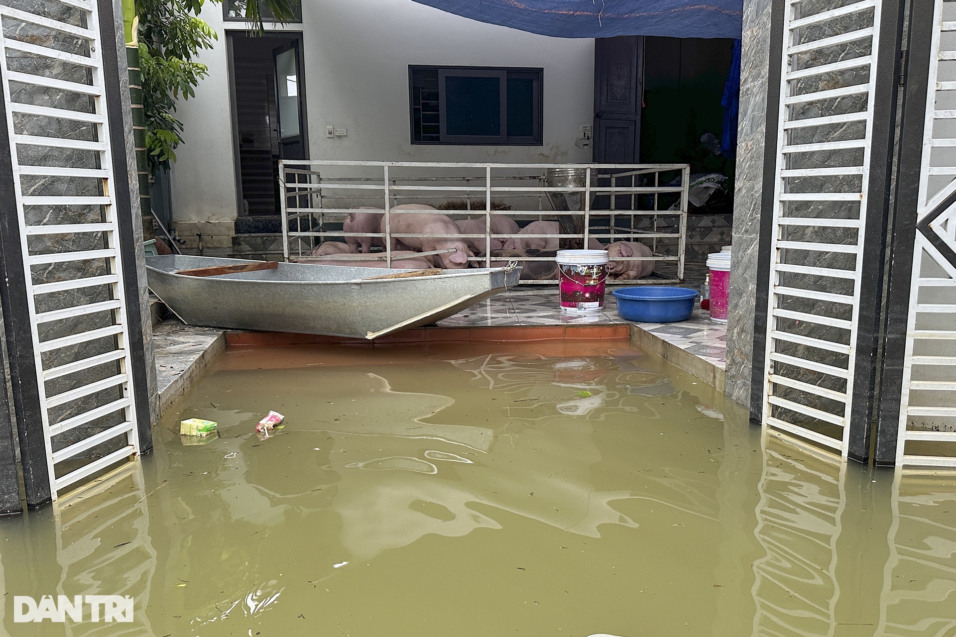 Hàng trăm hộ dân ngoại thành Hà Nội tiếp tục sống trong ngập úng - 8 Hàng trăm hộ dân ngoại thành Hà Nội tiếp tục sống trong ngập úng - 8