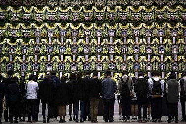 Những hình ảnh thế giới ấn tượng tuần qua