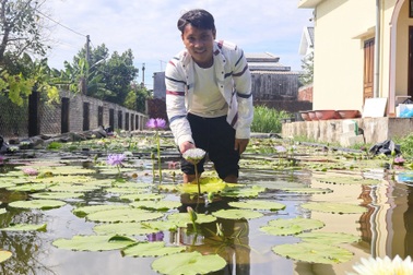 Lai tạo hàng chục giống hoa súng, 9X "tự trả lương" 30 triệu đồng/tháng