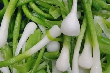 Ngon khó cưỡng món ngon từ tỏi non "vạn người mê" ở Lý Sơn