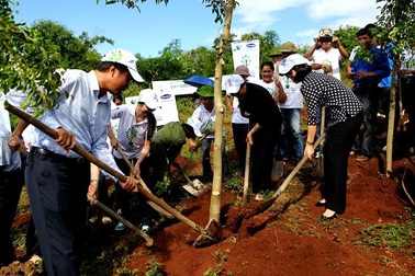 Phủ xanh đồi Độc Lập bằng 40.000 cây xanh