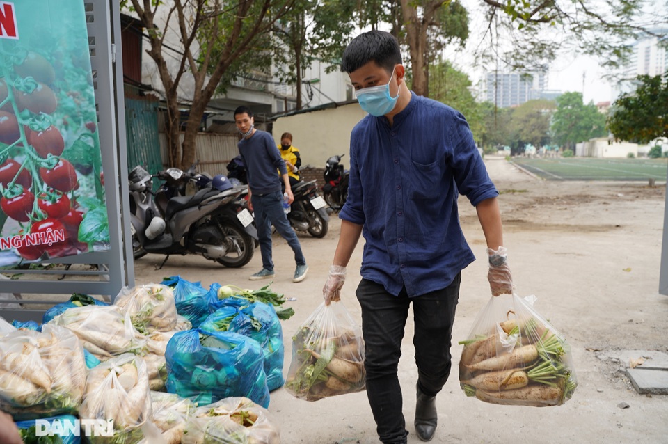 Người dân thủ đô giải cứu rau củ cho nông dân Hà Nội: Dân nào cũng thương - 8 Người dân thủ đô giải cứu rau củ cho nông dân Hà Nội: Dân nào cũng thương - 8