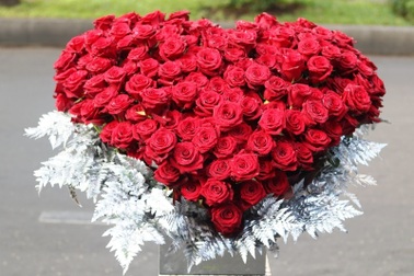 Hoa mao lương, thược dược “khổng lồ”, hàng "cực hiếm" trong dịp 8/3