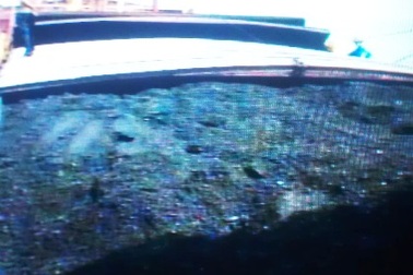 Bắt giữ tàu chở 2000 tấn than cám lậu tại biển Cát Bà