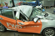 Cây xanh đè nát ô tô, nữ hành khách bị thương