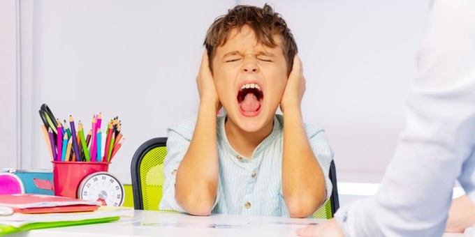 Trẻ học giỏi thôi chưa đủ, trí tuệ cảm xúc cũng là một nhân tố phải được trau dồi. Ảnh minh hoạ