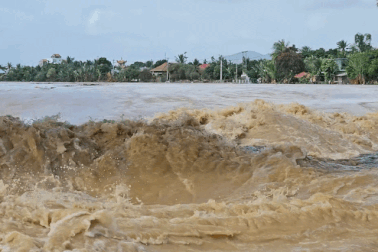 Nhiều nơi ngập sâu, lũ tiếp tục dâng, người dân Nha Trang đưa ô tô lên cao