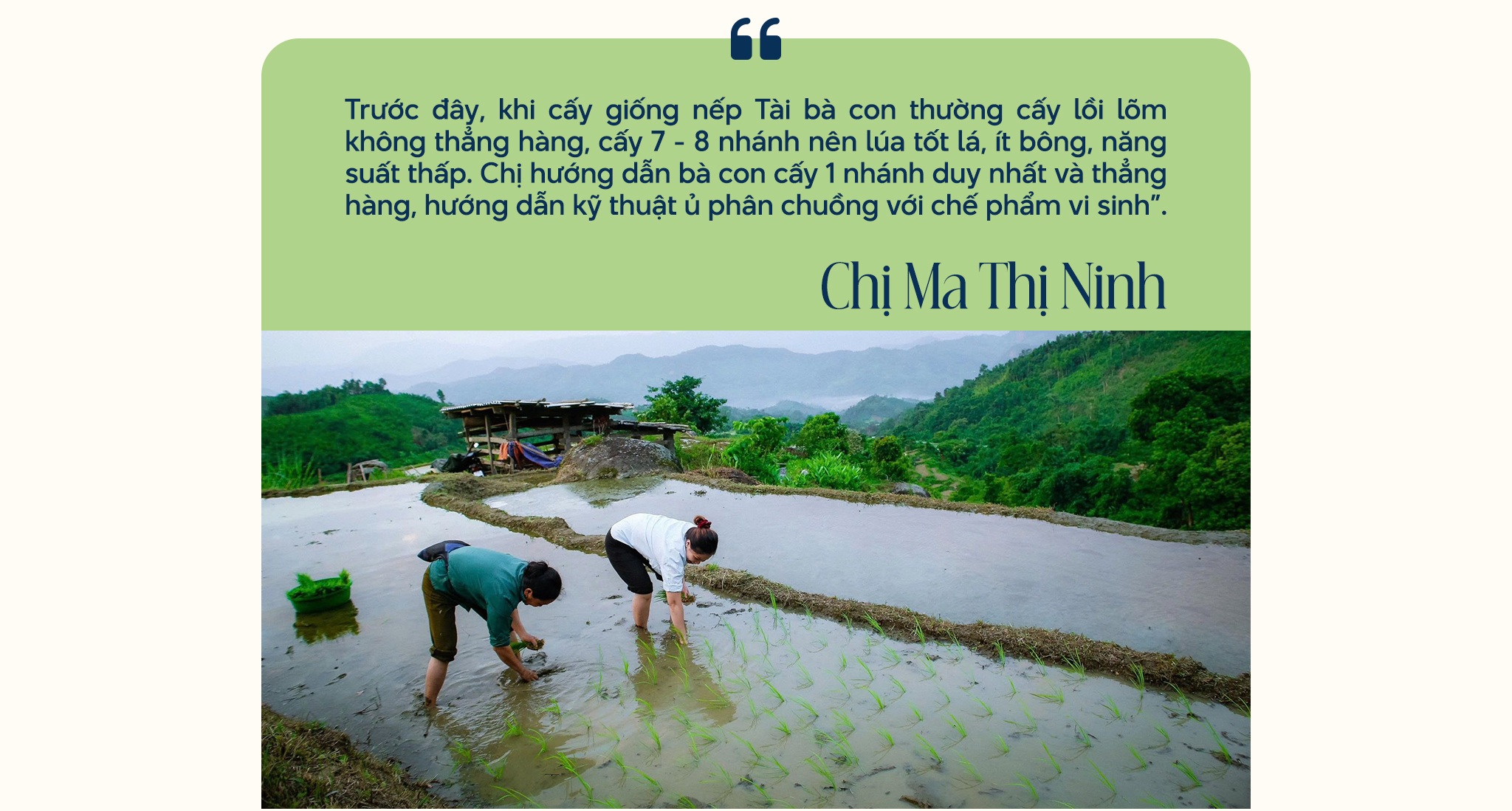 Hợp tác xã - mở lối thoát nghèo cho phụ nữ dân tộc thiểu số - 7