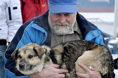 Cứu sống chú chó lênh đênh 120km trên tảng băng trôi
