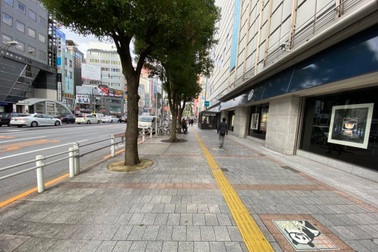 Cô gái bị tố phóng đại chuyện đường ở Nhật sạch tới mức không dính cát bụi