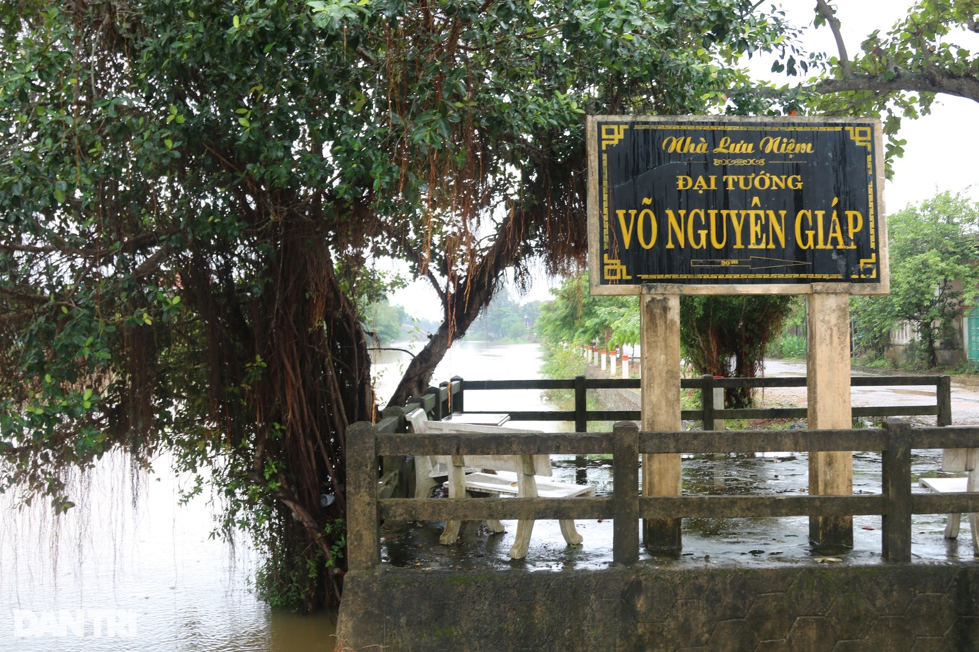 Ngôi nhà bình dị và cây khế cổ gắn với tuổi thơ Đại tướng Võ Nguyên Giáp - 3 Ngôi nhà bình dị và cây khế cổ gắn với tuổi thơ Đại tướng Võ Nguyên Giáp - 3