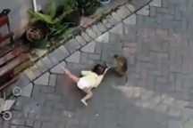 Clip khỉ đi xe đạp "bắt" trẻ con, kéo lê bé trên đường