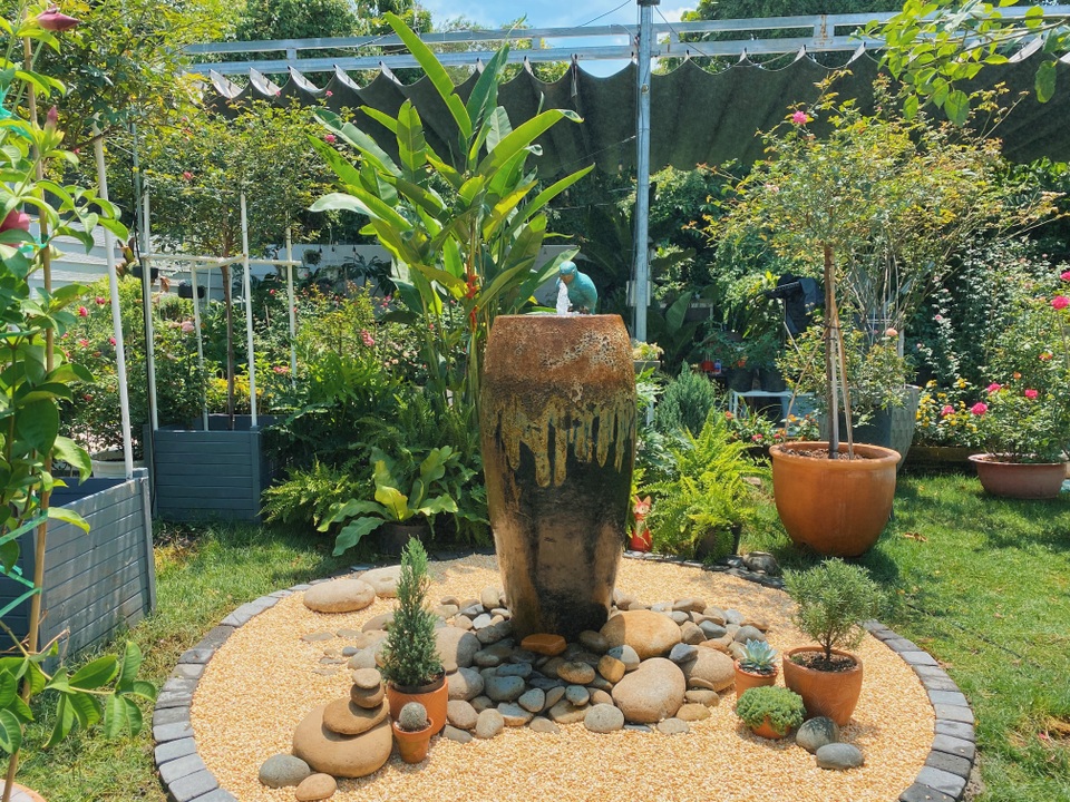 Khu vườn trốn dịch Covid-19, vạn người mê của chàng trai Sài Gòn - 12 Khu vườn trốn dịch Covid-19, vạn người mê của chàng trai Sài Gòn - 12