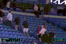 Djokovic phải dừng thi đấu để khán giả rời sân