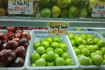 Truy tìm táo gây chết người