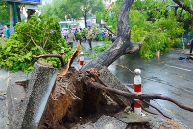 Bi kịch lương “khủng” và đường phố Sài Gòn