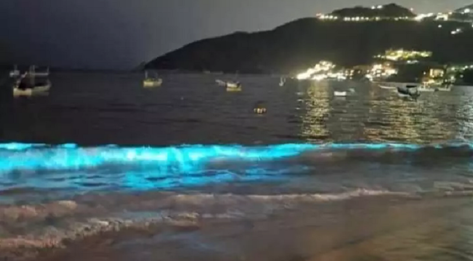Nước biển Mexico phát ra ánh sáng xanh huyền ảo trong đêm - 1 Nước biển Mexico phát ra ánh sáng xanh huyền ảo trong đêm - 1