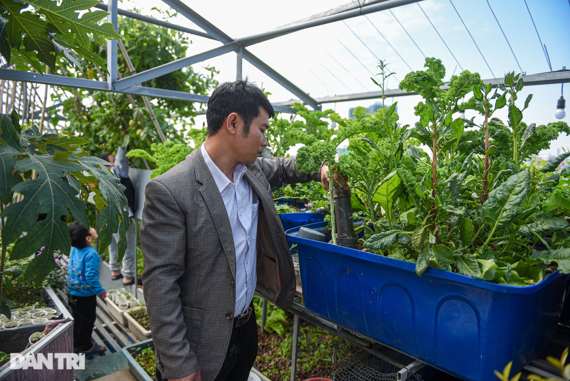 Vườn lười của gia đình ở Hà Nội: Gà đầy chuồng, cá, lươn bơi tung tăng - 5 Vườn lười của gia đình ở Hà Nội: Gà đầy chuồng, cá, lươn bơi tung tăng - 5