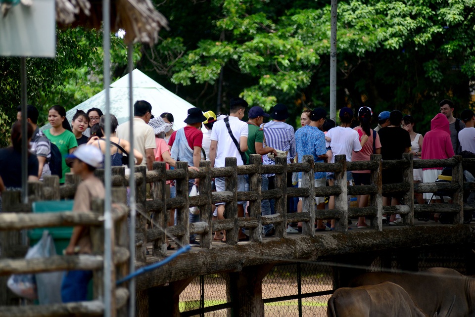 Thảo Cầm Viên đông đúc.jpg