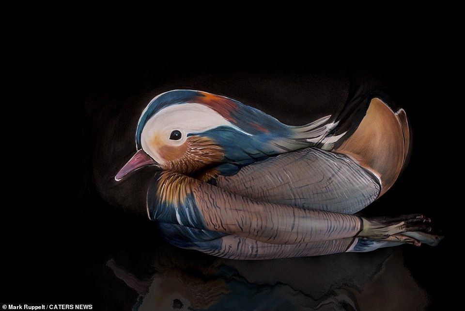 Bà bầu hóa thành bồ nông và gấu mèo qua nghệ thuật body-painting - 9 Bà bầu hóa thành bồ nông và gấu mèo qua nghệ thuật body-painting - 9