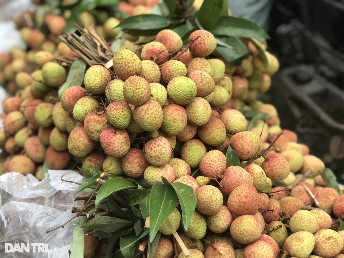 Tết Đoan Ngọ: Rượu nếp, vải, mận cháy hàng sớm, tiểu thương bán mỏi tay - 4 Tết Đoan Ngọ: Rượu nếp, vải, mận cháy hàng sớm, tiểu thương bán mỏi tay - 4
