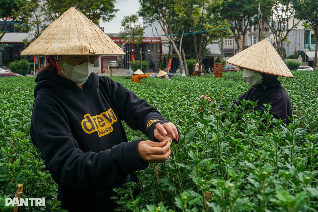 Việc thời vụ ra tiền cho sinh viên kiếm khoản tiêu Tết - 6 Việc thời vụ ra tiền cho sinh viên kiếm khoản tiêu Tết - 6