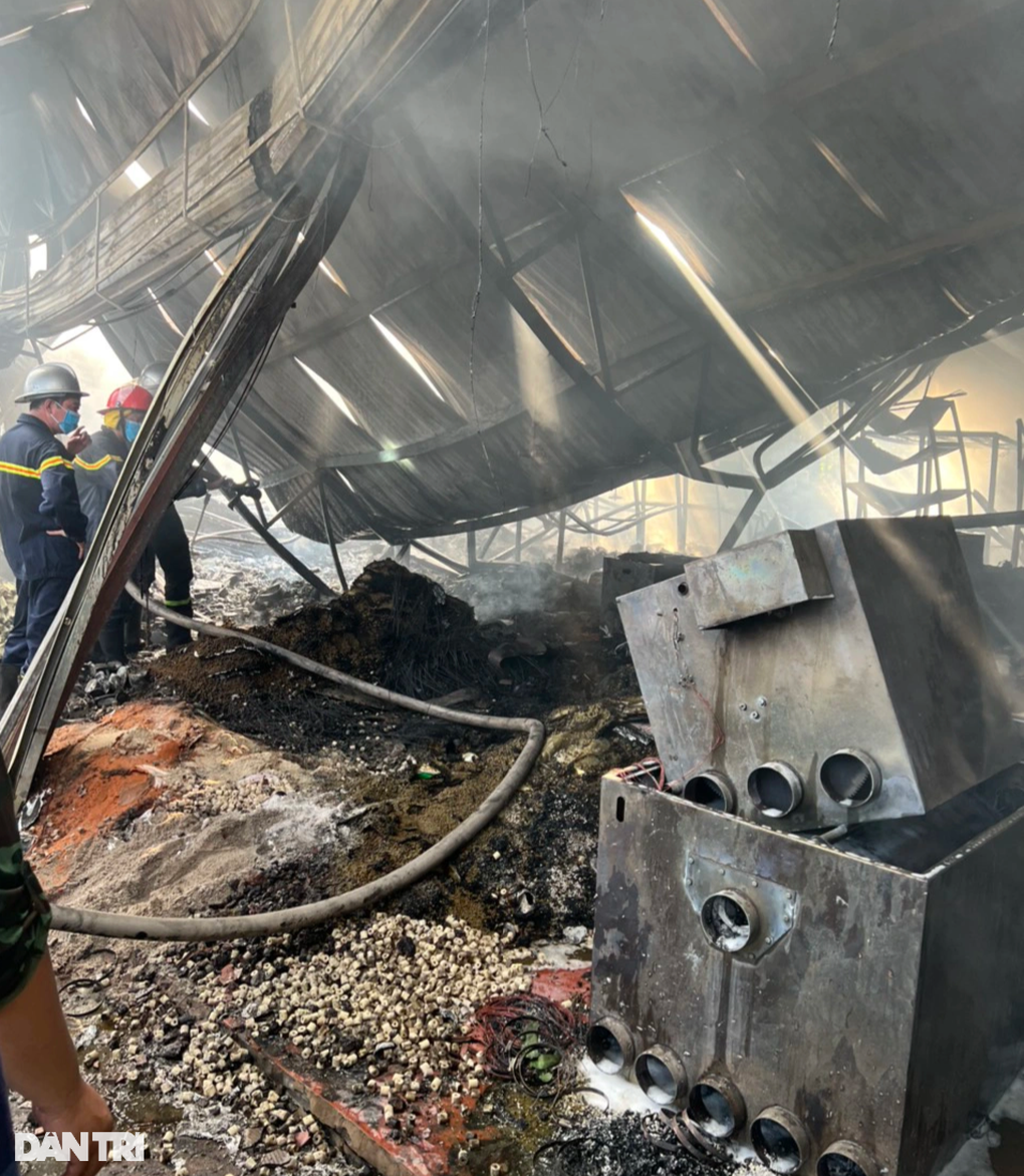 Cháy kho thiết bị bể cá ở Hà Nội - 4