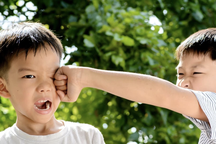 Phải làm sao khi hai đứa con trai suốt ngày đánh nhau, cãi vã?