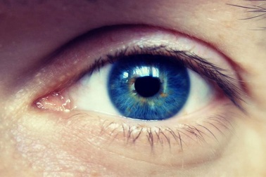 Sử dụng chỉnh sửa gene để điều trị mù