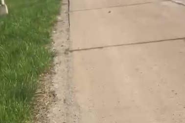 Mỹ: Xe chở 600.000 USD bung cửa, tiền mặt bay tứ tung