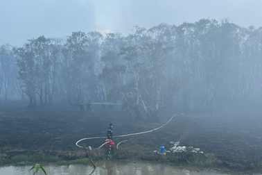 Cháy Vườn quốc gia Tràm Chim: Điều tra các bẫy chuột ở hiện trường