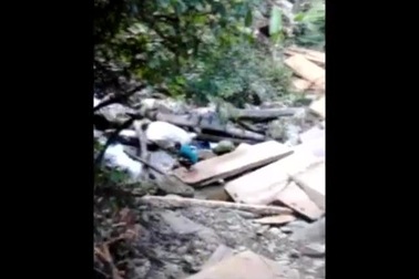 Một vụ chặt phá gỗ ở khu vực biên giới Mai Sơn, huyện Tương Dương.