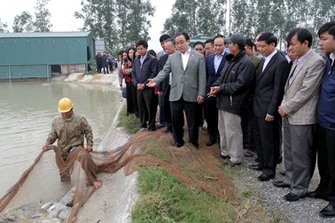 Bí thư Hà Nội: Một cán bộ thiếu chuẩn làm 400.000 người mang tiếng