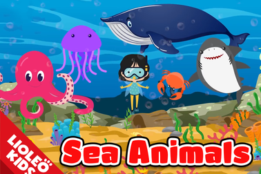 Tiếng Anh trẻ em: Chinh phục từ vựng chủ đề “sinh vật đại dương”