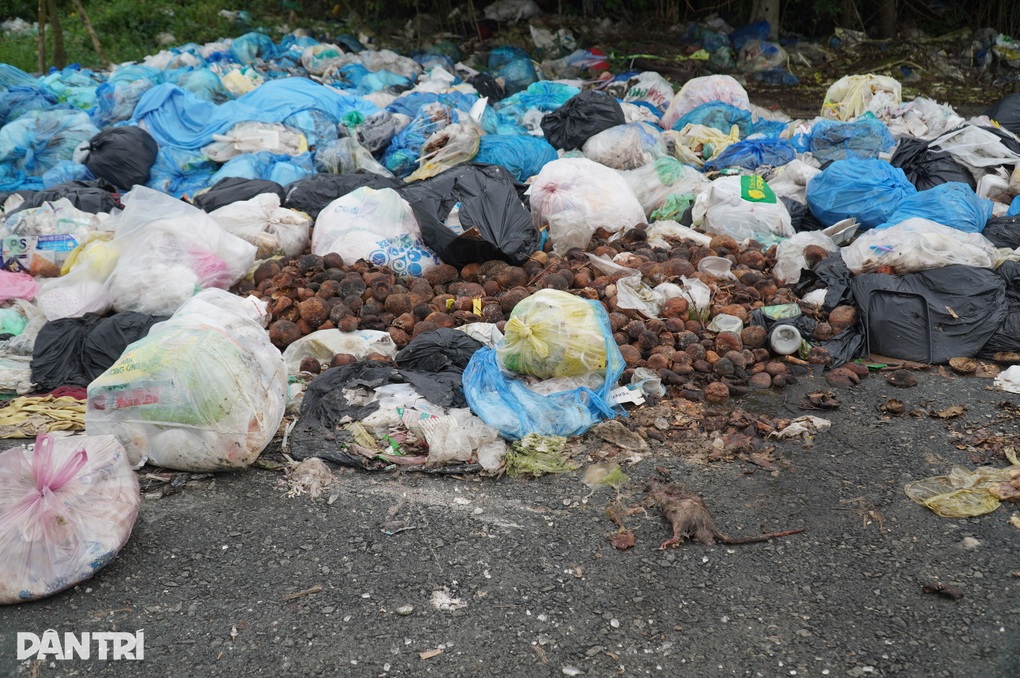 Rác tràn mặt đường, ngập vỉa hè, khủng bố người dân - 2 Rác tràn mặt đường, ngập vỉa hè, khủng bố người dân - 2