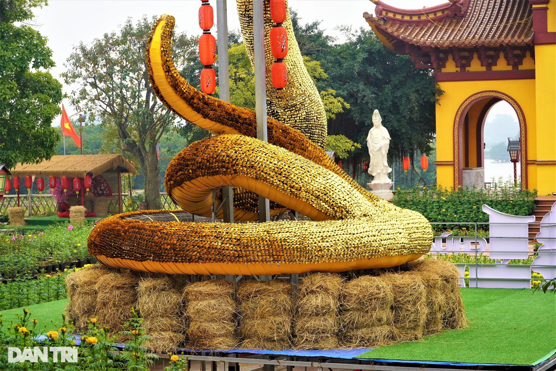 Linh vật rắn siêu dễ thương, đầu đội vòng nguyệt quế trình làng - 4 Linh vật rắn siêu dễ thương, đầu đội vòng nguyệt quế trình làng - 4