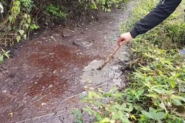 Dân dựng lều ngày đêm "canh" nhà máy nghi xả thải gây ô nhiễm