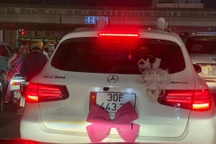 Cục CSGT xác minh chủ ô tô Mercedes gắn nơ hồng che biển số
