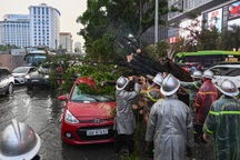 Mưa lớn tại Hà Nội, cây xanh bật gốc đổ trúng ô tô trên đường