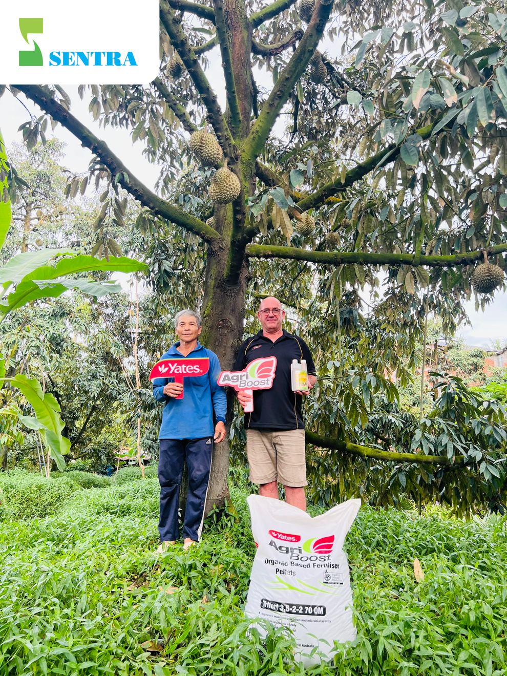 Phân bón hữu cơ SenTra: Giải pháp phát triển nông nghiệp bền vững - 3