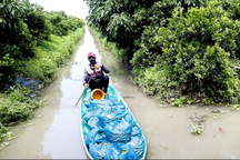 Hạnh là cây gì mà chỉ trồng 5ha, hái 1 tấn trái/ngày, lời 1 tỷ đồng/năm?