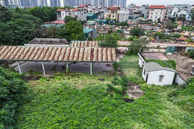 Cỏ mọc um tùm, rác chất đống ở hàng loạt chợ tiền tỷ bị bỏ hoang tại Hà Nội