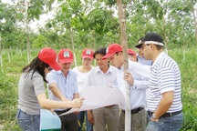 Bầu Đức sẽ đi “chăn bò”