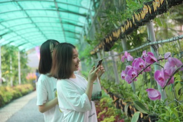 Trường ĐH đầu tiên ở TPHCM thực hiện chương trình Đại học Xanh