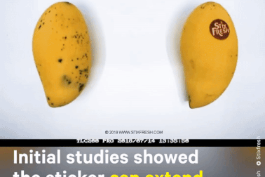 Khó tin chiếc nhãn dán giúp trái cây tươi lâu hơn 10 ngày và an toàn tuyệt đối!