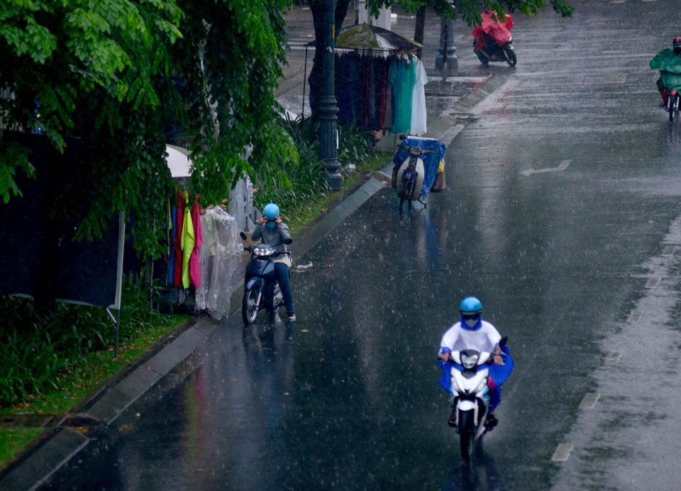 Sài Gòn đón mưa vàng.jpg Sài Gòn đón mưa vàng.jpg
