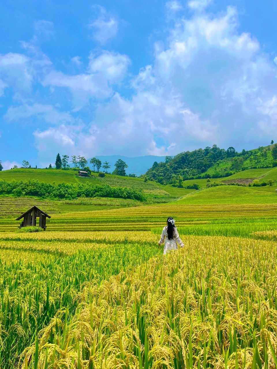 View - 48 giờ ăn, chơi thả ga ở Sa Pa dịp nghỉ lễ 2/9 | Báo Dân trí