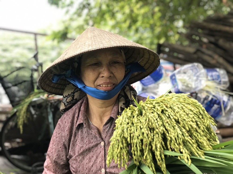 Cốm Hà Nội khiến bao người phải thương nhớ - 3 Cốm Hà Nội khiến bao người phải thương nhớ - 3